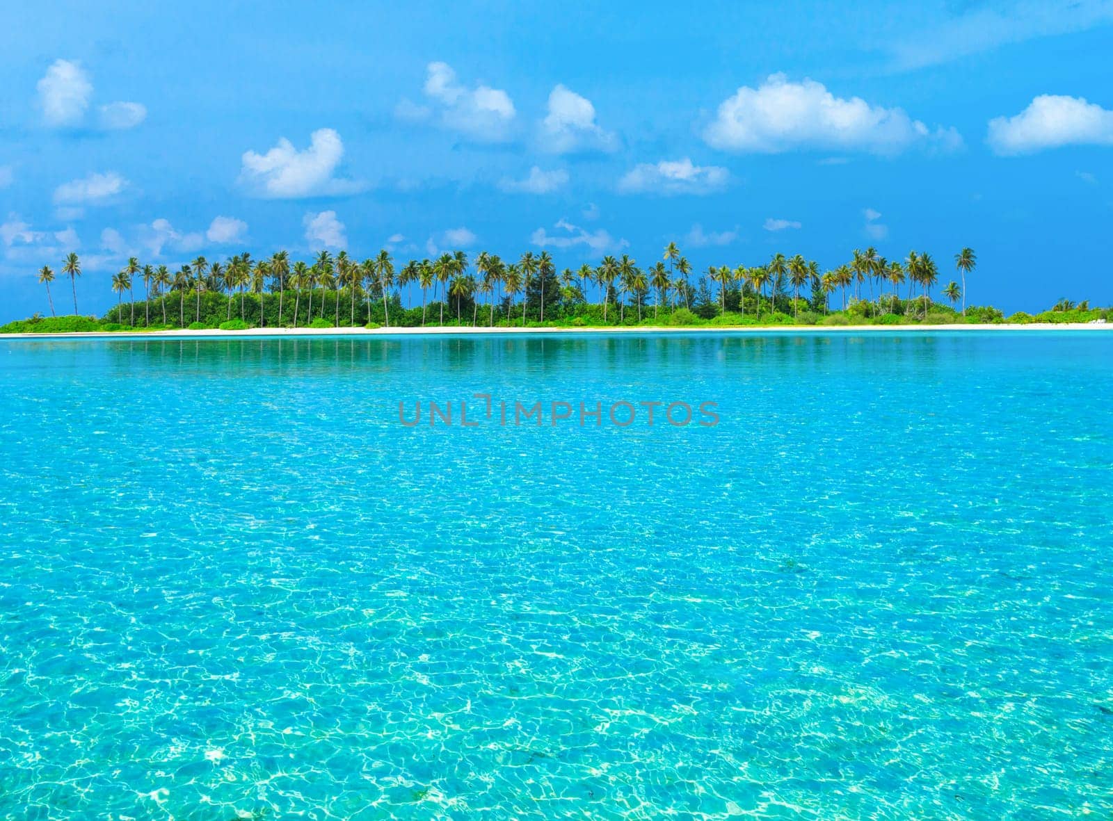 tropical beach in Maldives with few palm trees and blue lagoon