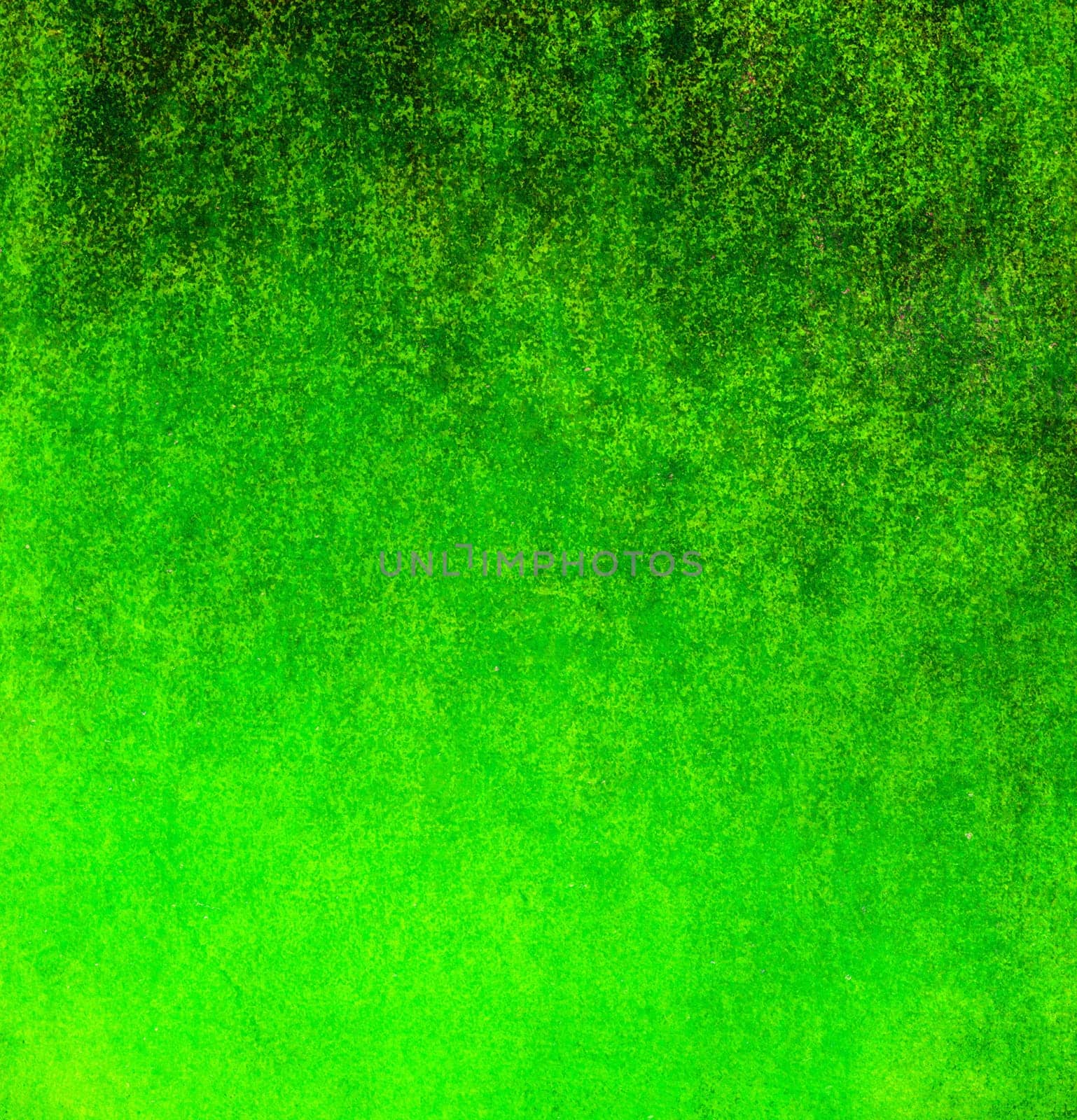 abstract green background  with vintage grunge background texture green paper