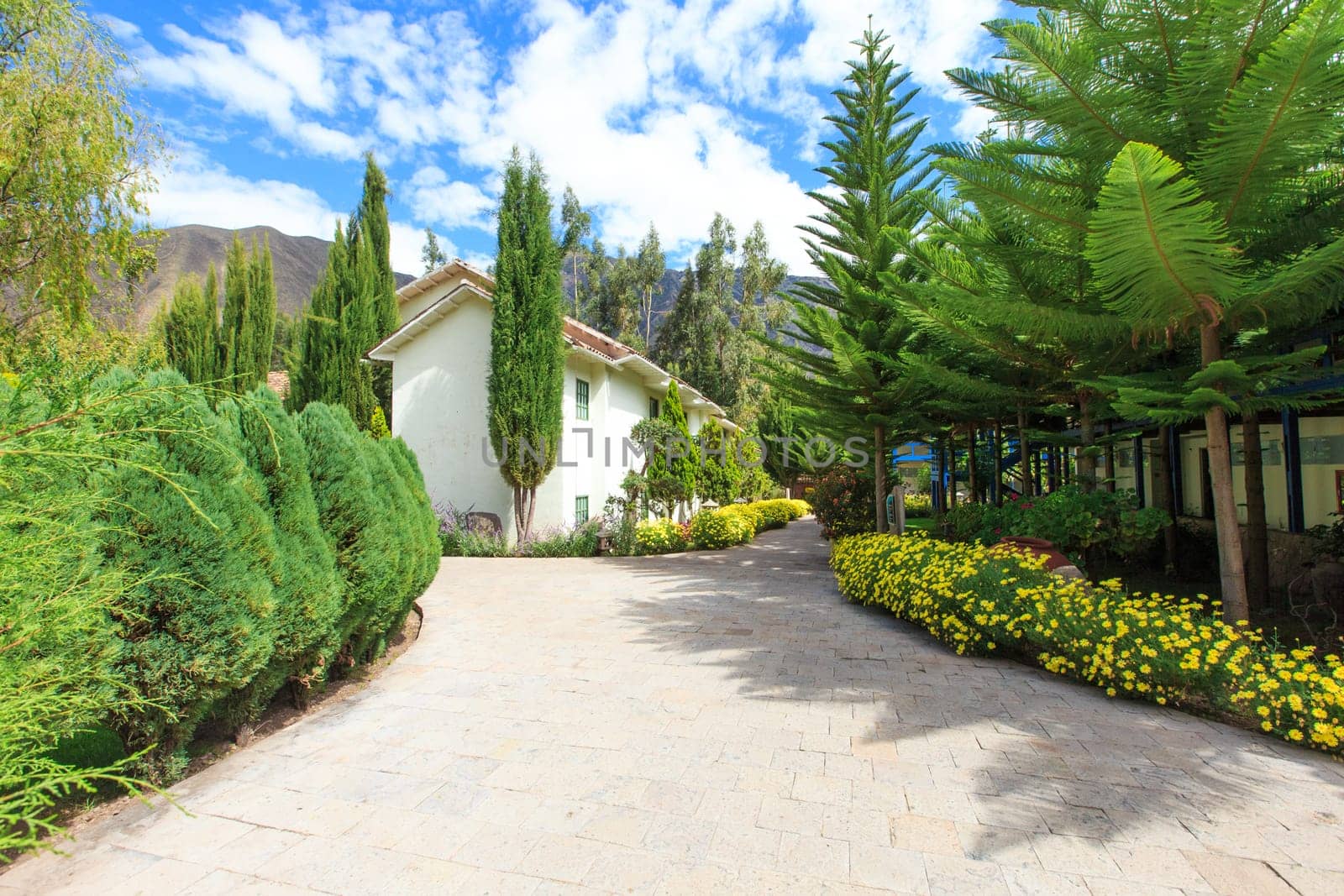 Garden landscape..