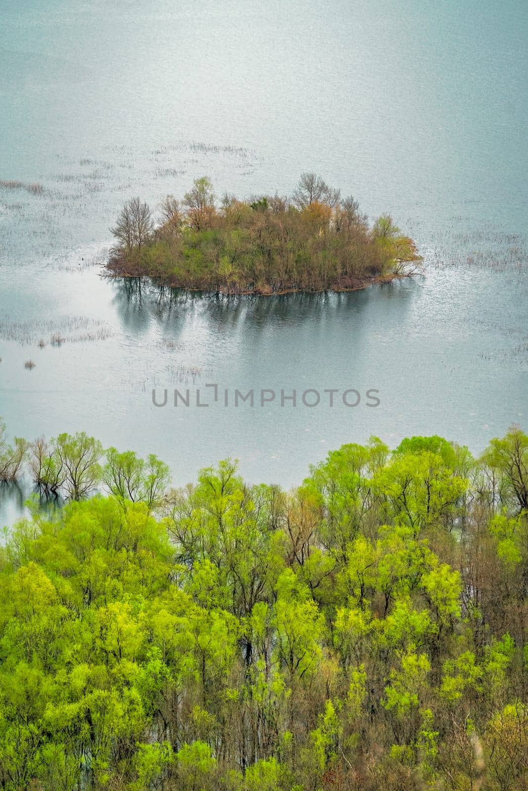 Cluster of Green trees on the tiny island on the Skadar Lake, Skadar Lake National Park, Montenegro