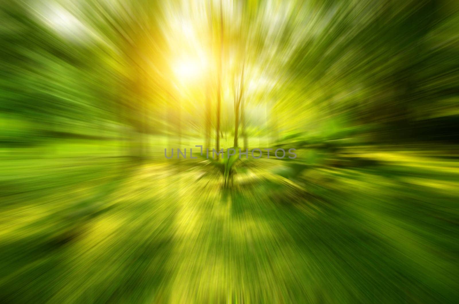 Zoomed in blurred tropical green forest with sunlight.