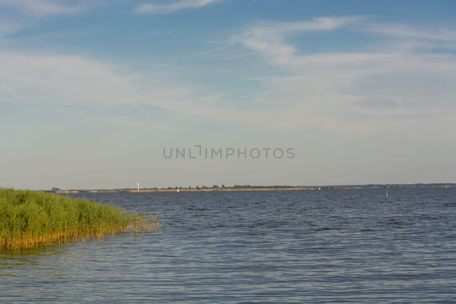 National Park Vorpommersche Boddenlandschaft on Fischland at the Baltic resort Ahrenshoop in Germany