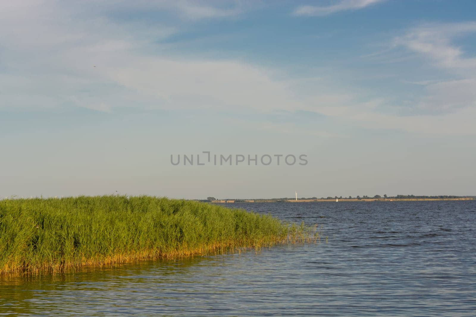 National Park Vorpommersche Boddenlandschaft on Fischland at the Baltic resort Ahrenshoop in Germany