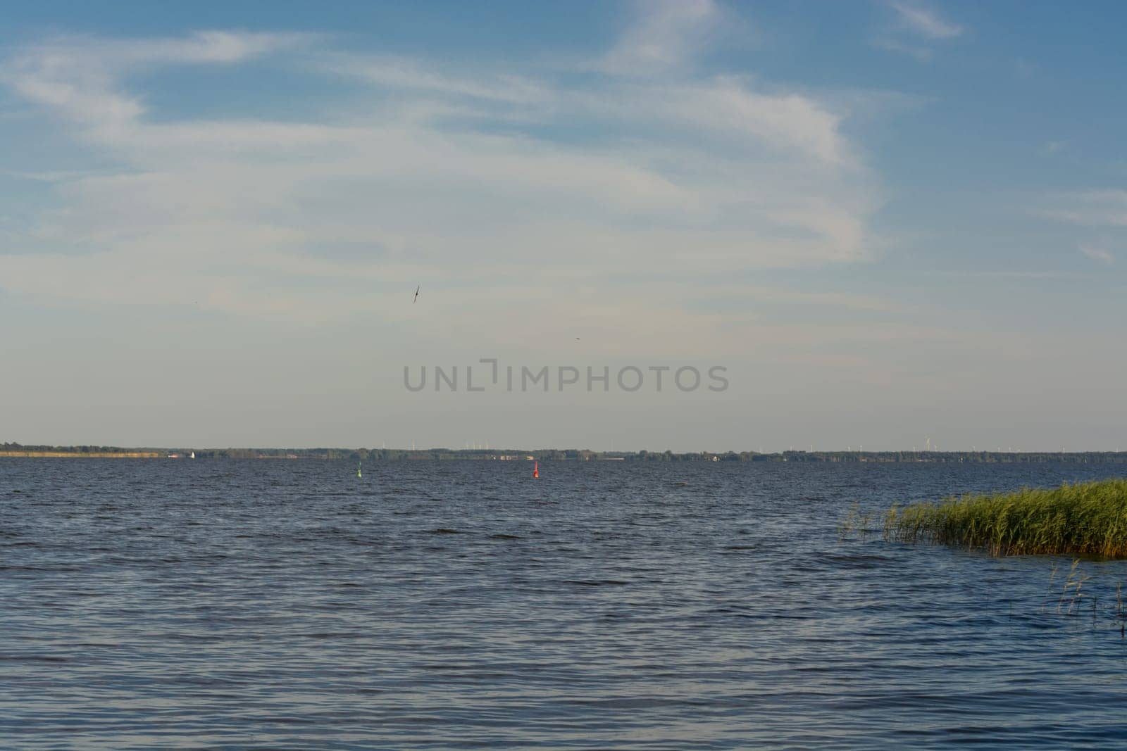 National Park Vorpommersche Boddenlandschaft on Fischland at the Baltic resort Ahrenshoop in Germany