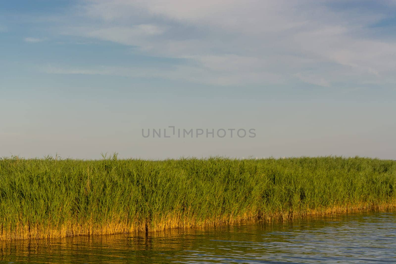 National Park Vorpommersche Boddenlandschaft on Fischland at the Baltic resort Ahrenshoop in Germany