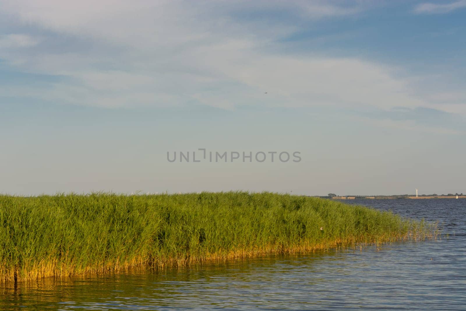 National Park Vorpommersche Boddenlandschaft on Fischland at the Baltic resort Ahrenshoop in Germany