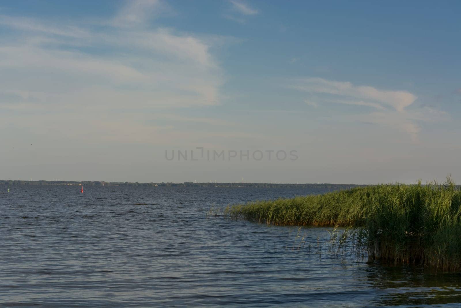 National Park Vorpommersche Boddenlandschaft on Fischland at the Baltic resort Ahrenshoop in Germany