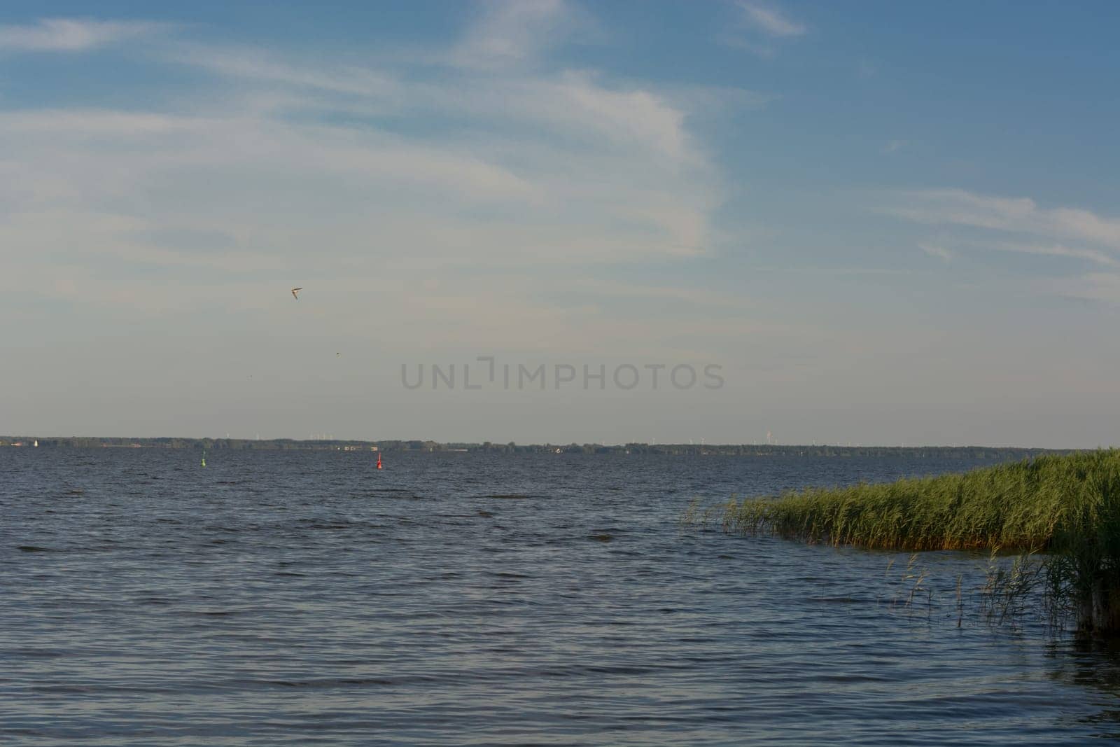 National Park Vorpommersche Boddenlandschaft on Fischland at the Baltic resort Ahrenshoop in Germany