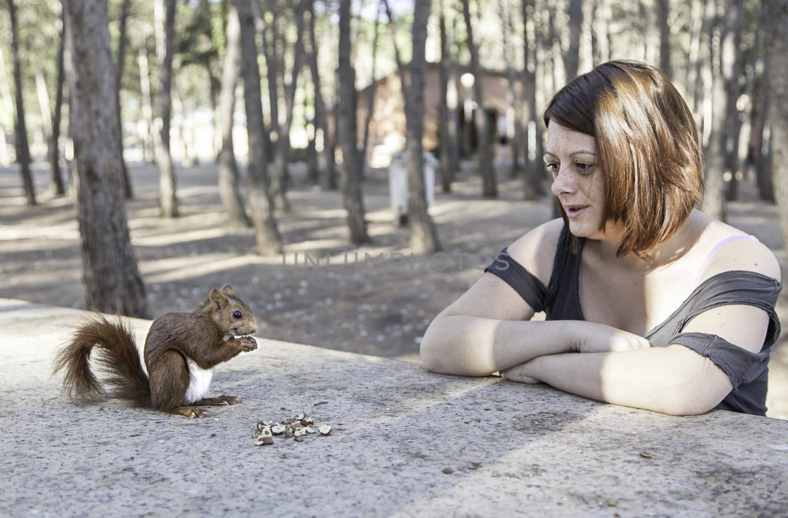 Girl with squirrel in forest with trees, nature