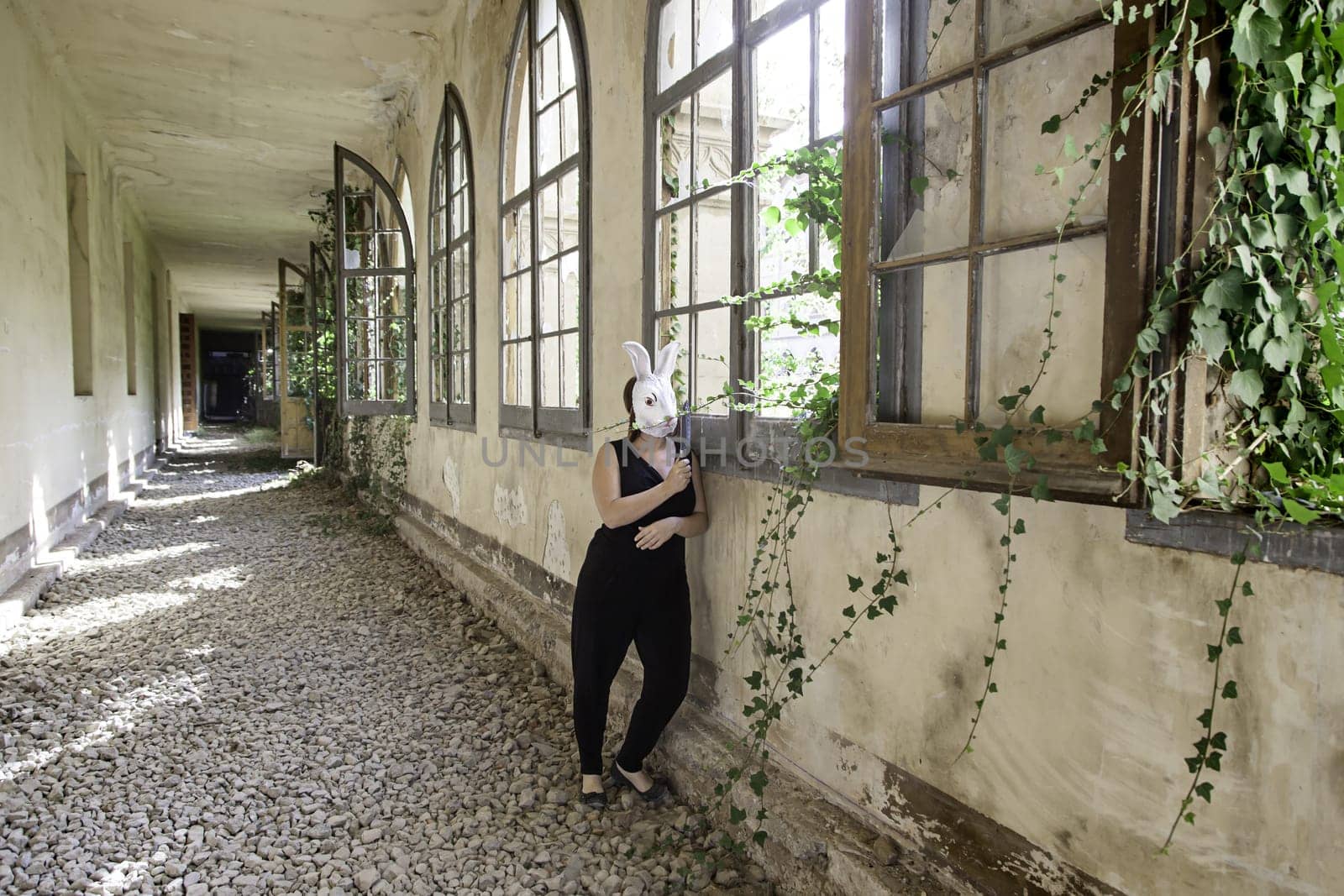 Terrifying killer rabbit with mask, halloween
