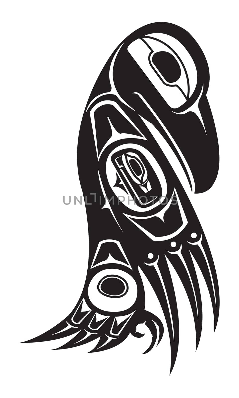 native raven american totem indigenous wild tribal illustration