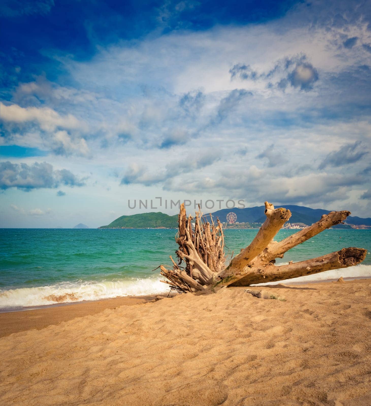 Scenic view of Nha Trang beach at sunny day. Beautiful tropical landscape. Snag on the foreground