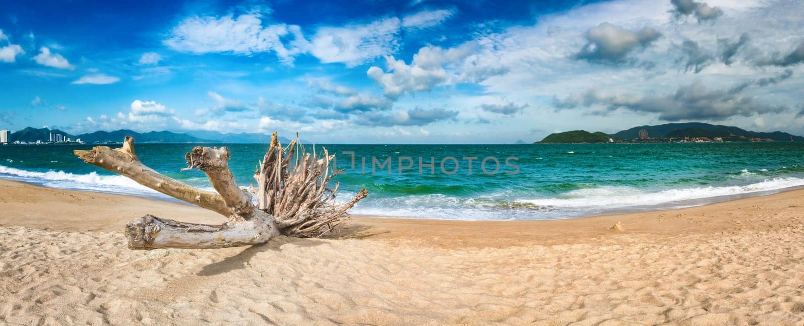 Scenic view of Nha Trang beach at sunny day. Beautiful tropical landscape. Snag on the foreground. Panorama