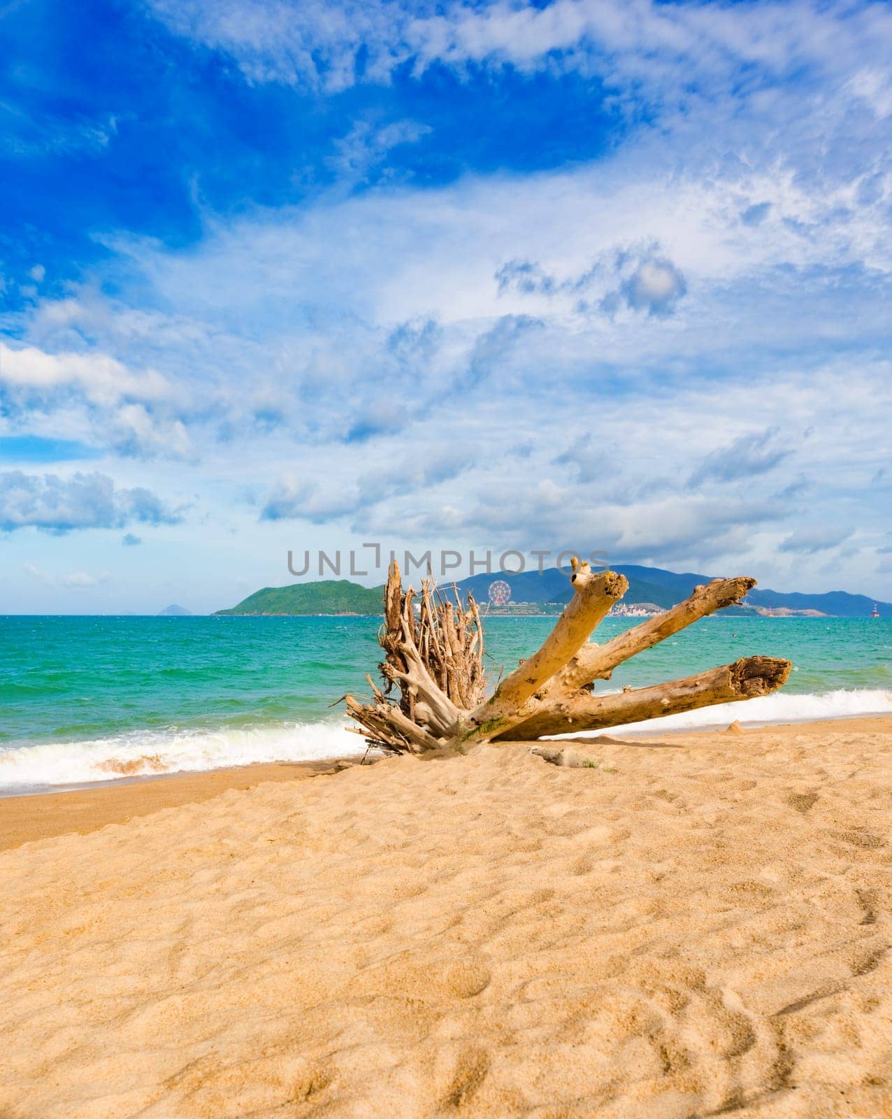 Scenic view of Nha Trang beach at sunny day. Beautiful tropical landscape. Snag on the foreground
