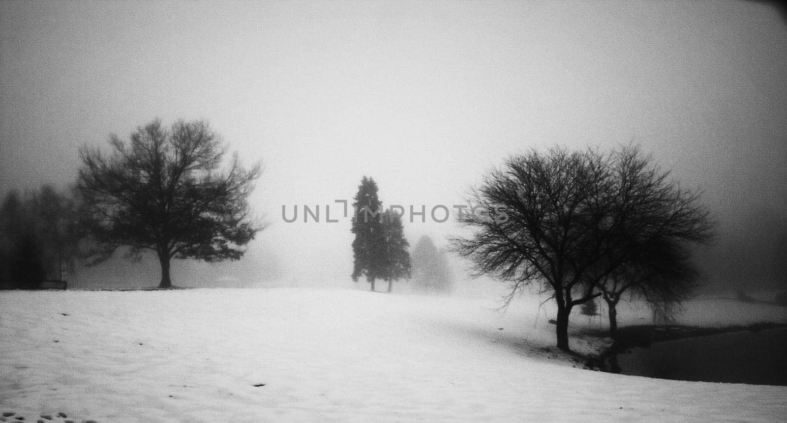 Winter landscape with leafless trees on lake shore.