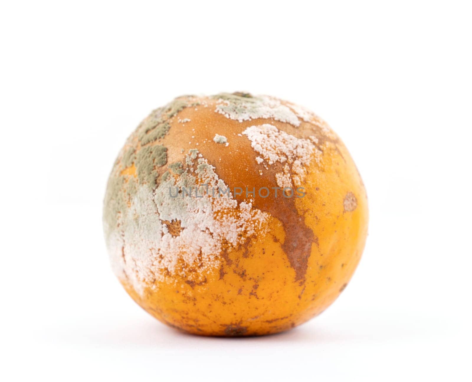 rotten and moldy orange on white background