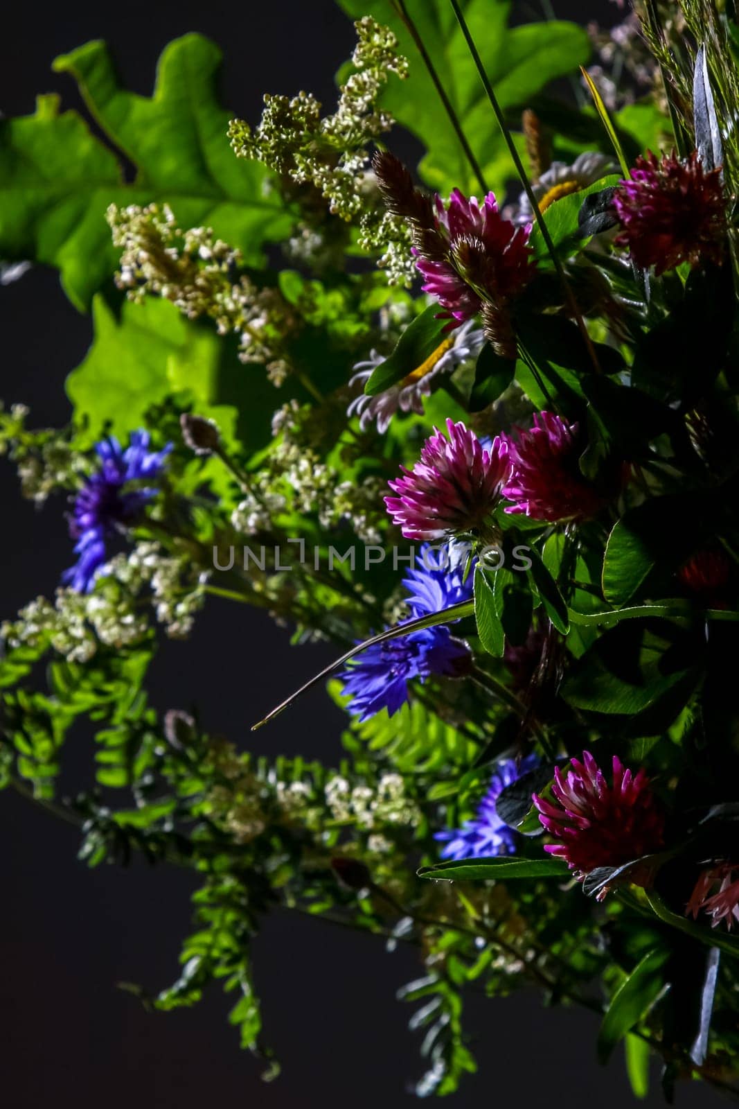 Bouquet with clover and cornflower. Flowers on dark background. Nature flower. Rural flowers on black background. Floral bouquet from wild summer flowers on dark background. ..