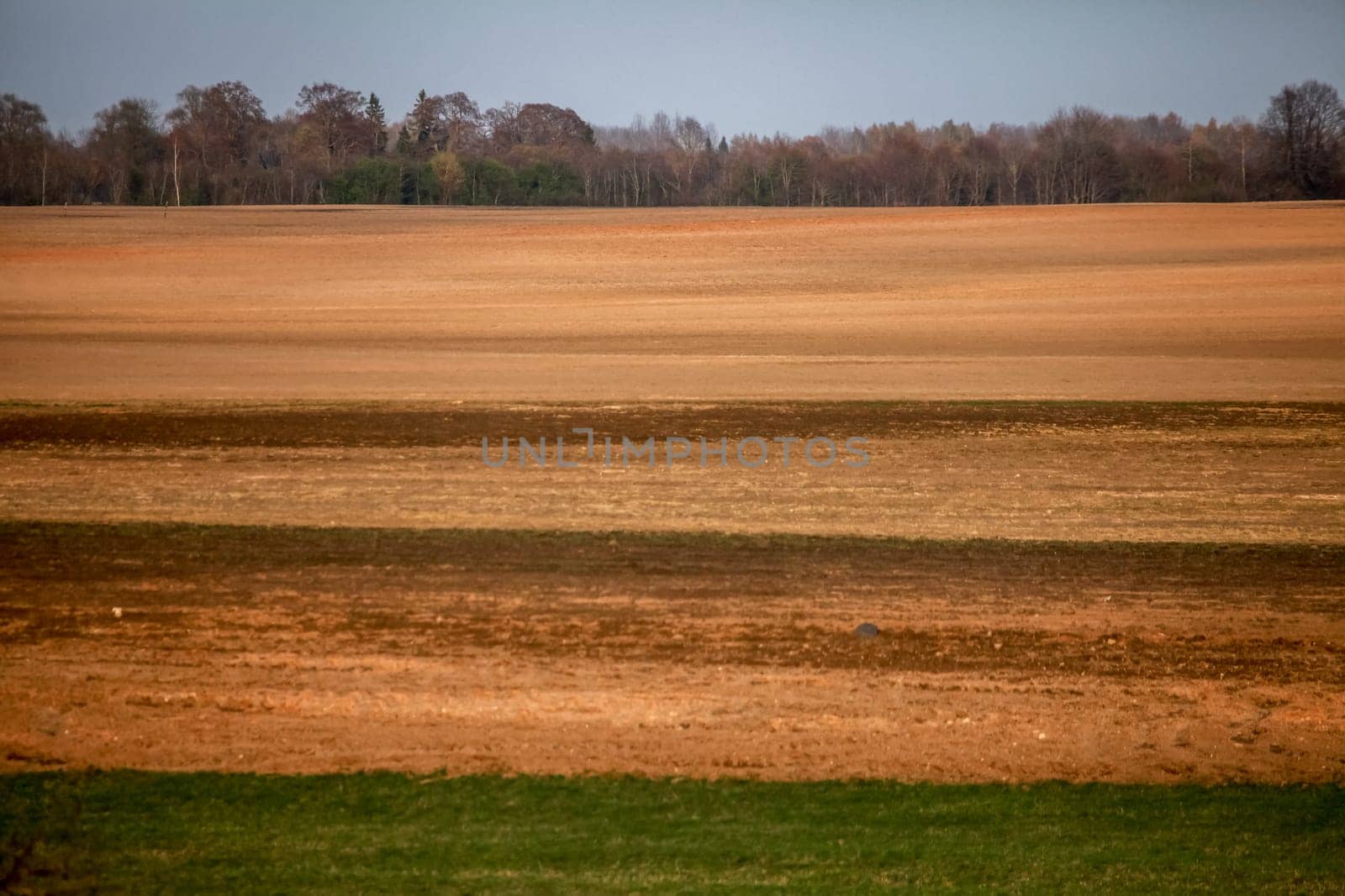 Spring landscape with plowed field. Plowed cereal field in spring. Classic rural landscape in Latvia. Plowed field in spring season.