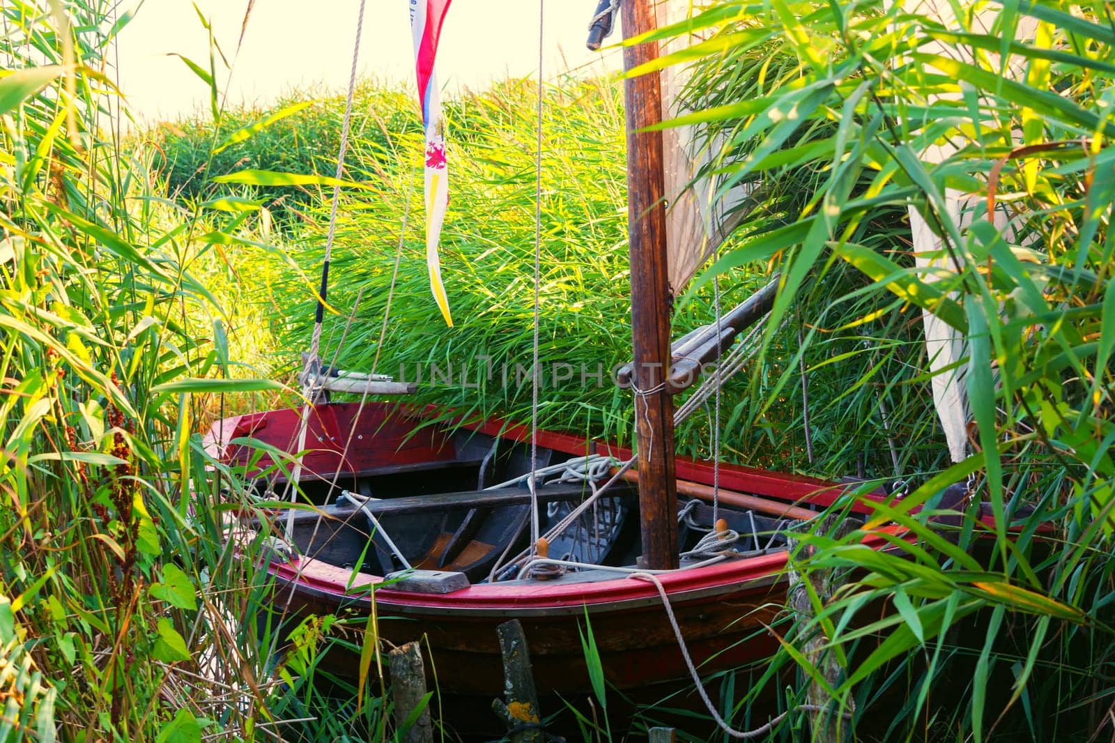 Wooden boat on the shore of a lake in the reeds