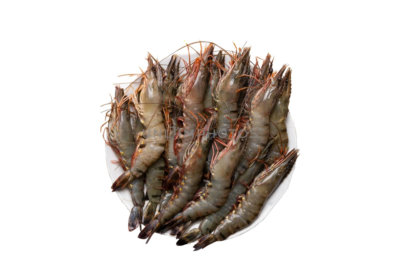 Seafood background. Closeup of raw tiger shrimps on a plate isolated on a white background. Top view.