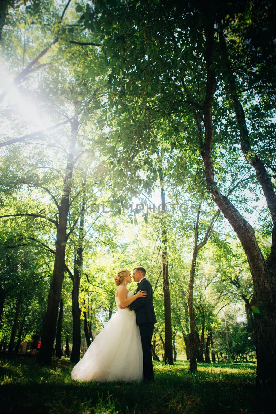 couple bride and groom on the background of the park's trees.