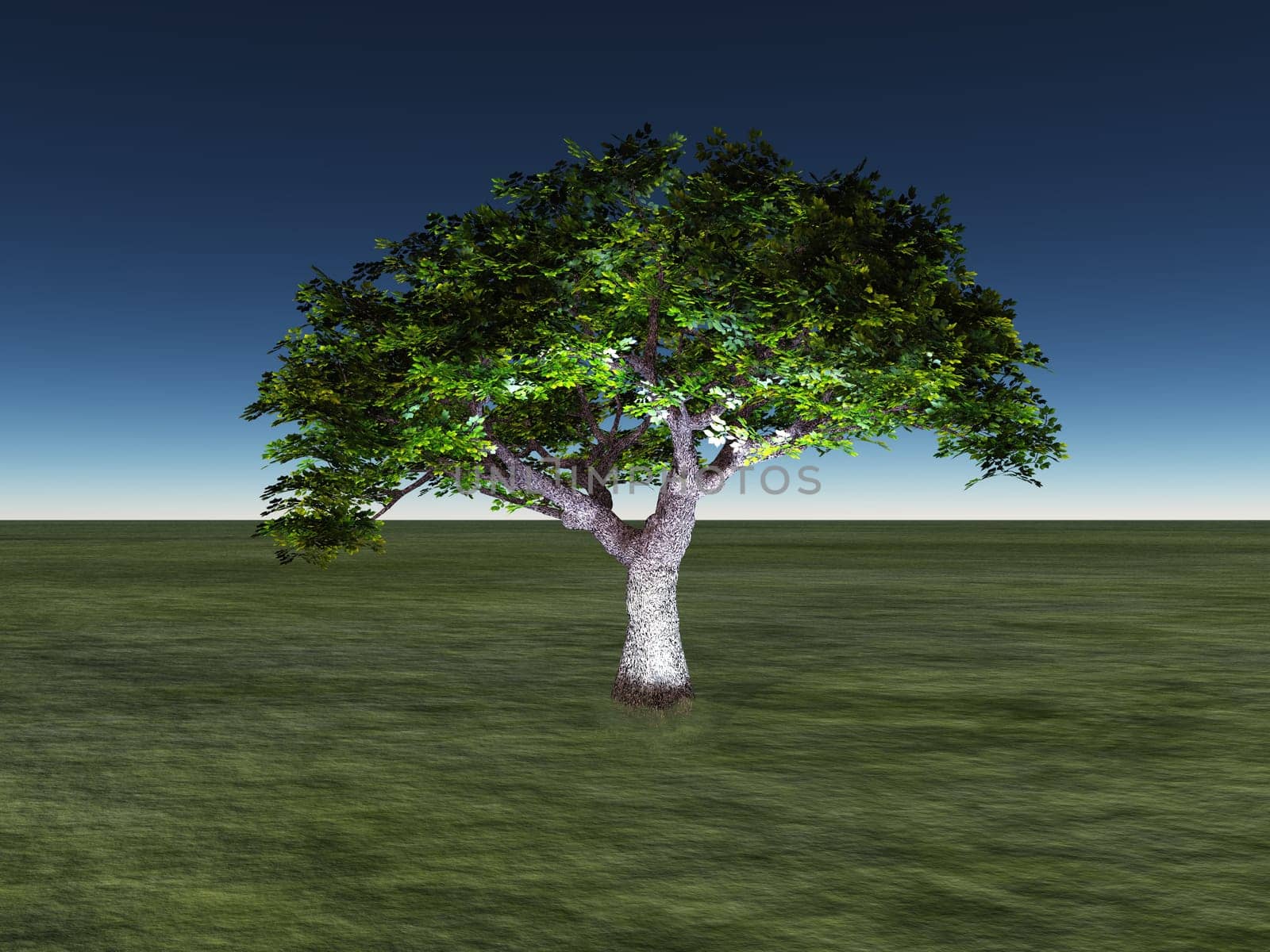 Green tree lit from beneath