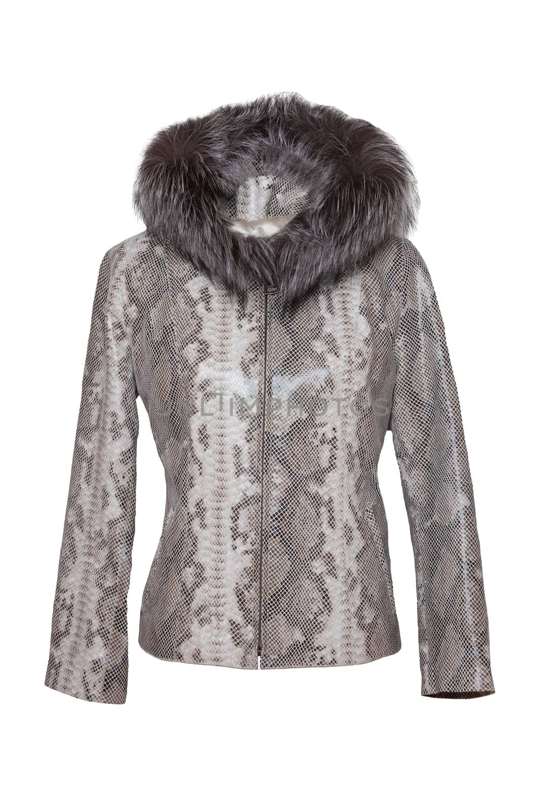 Woman clothes. Stylish gray female leather jacket with fur hood on mannequin isolated on a white background. Leather fashion.