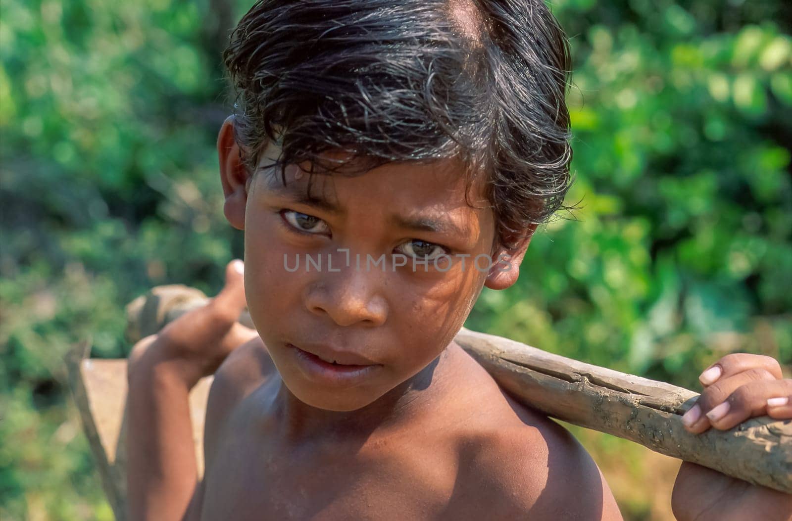 A close-up portrait of a shirtless Indian boy with a hoe on his shoulders during a work break, the sweat beaded on the forehead, the child stare at camera with great dignity, blurred background
