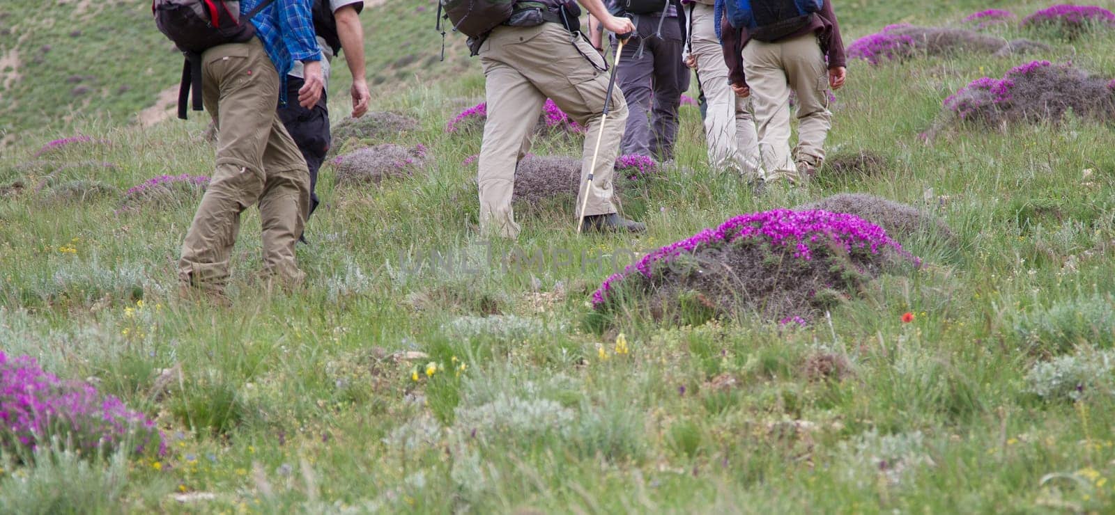 Hiking in Iran