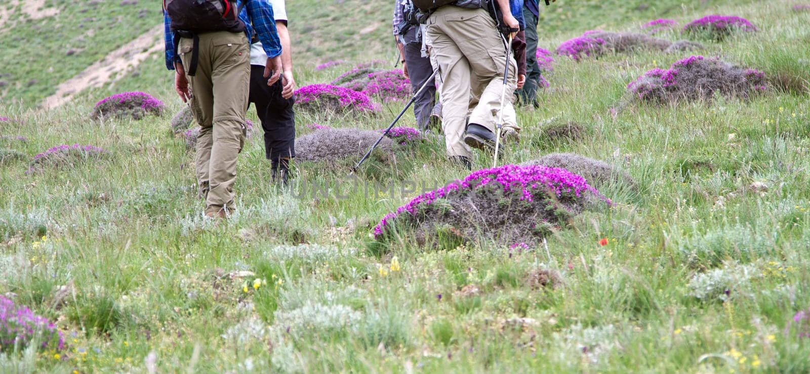 Hiking in Iran