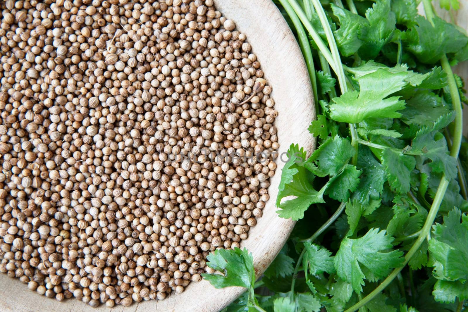 Bowl of ground coriander surrounded by fresh cilantro leaves.