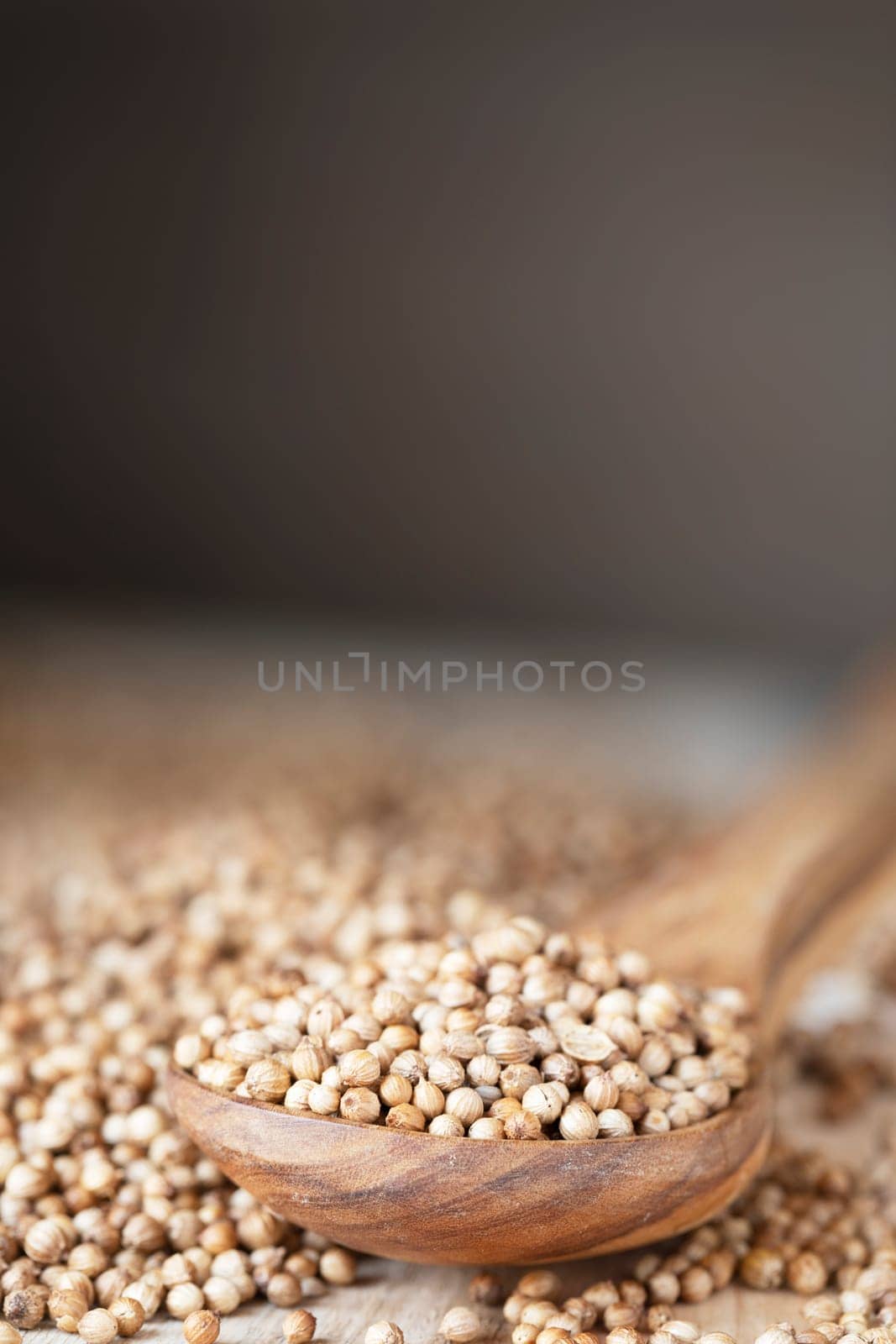 Woodens spoon full of whole coriander seeds. vertical orientation wtih copy space