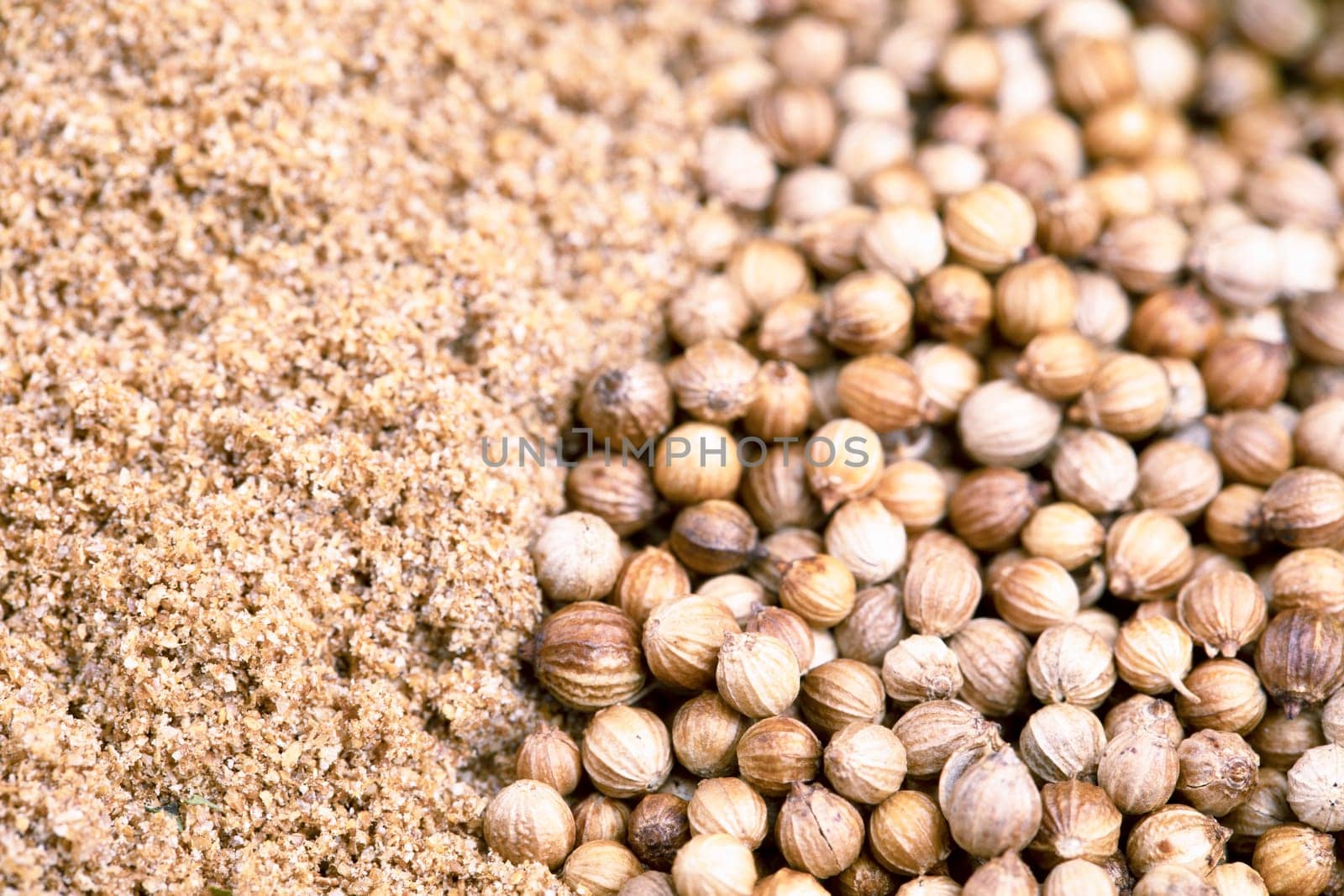Close up of whole coriander seeds and coriander powder.