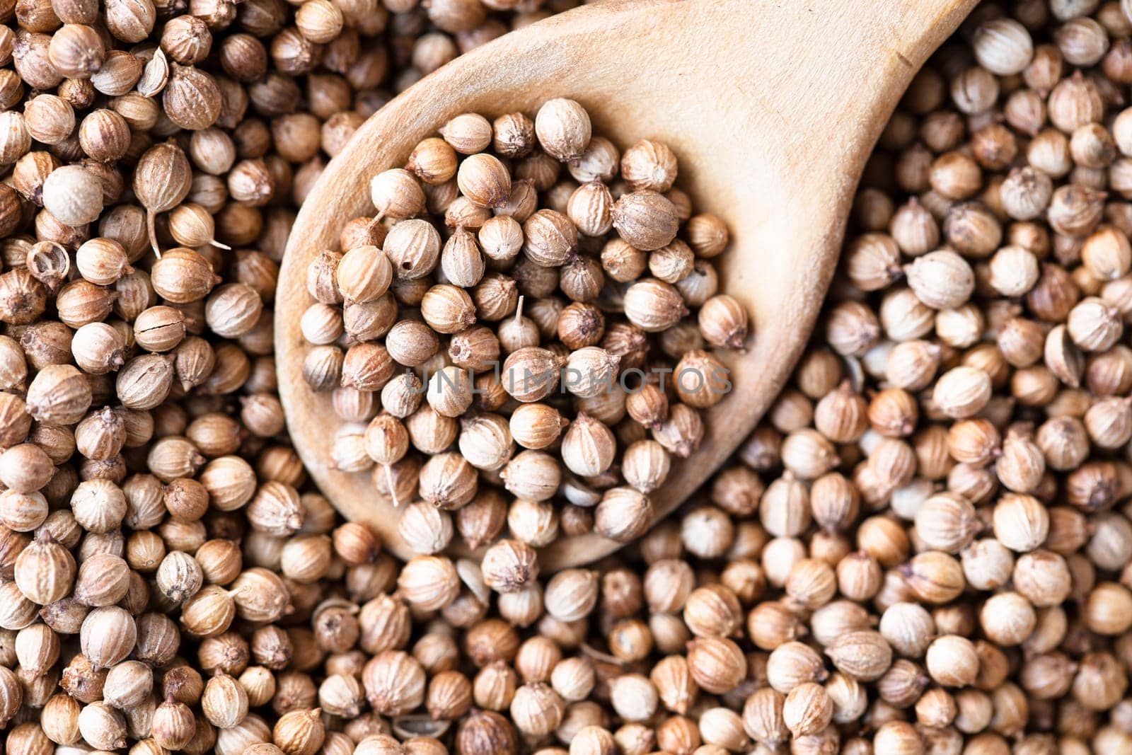Pile of coriander seeds with some in a wooden spoon