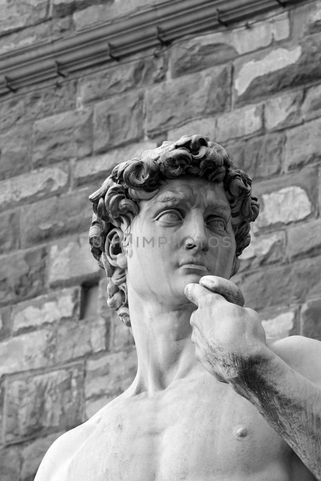 The BW David sculpture  by Michelangelo in Florence. Detail of the head.