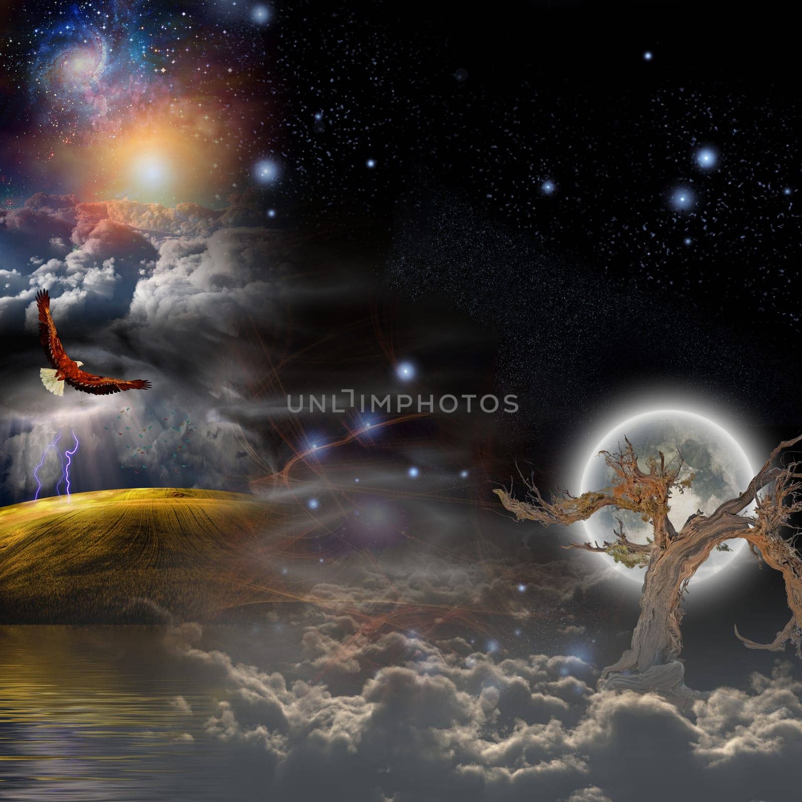 Mystical Landscape Composition. Old tree and storm clouds in the starry sky. Flying eagle