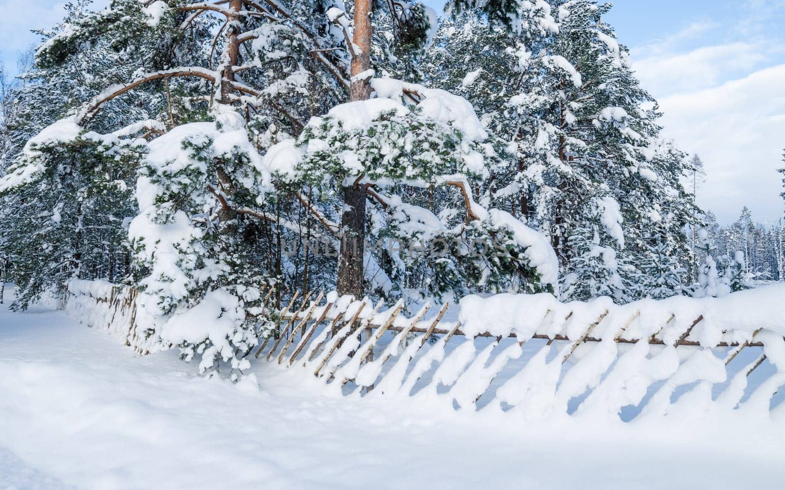 Snow-covered landscape in the countryside. Viitna, Estonia