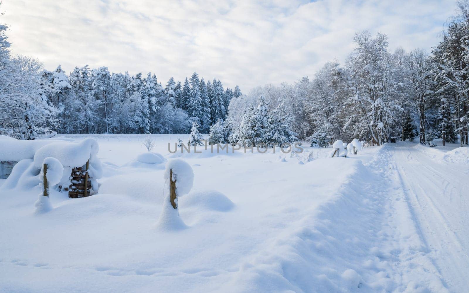 Snow-covered landscape in the countryside. Viitna, Estonia