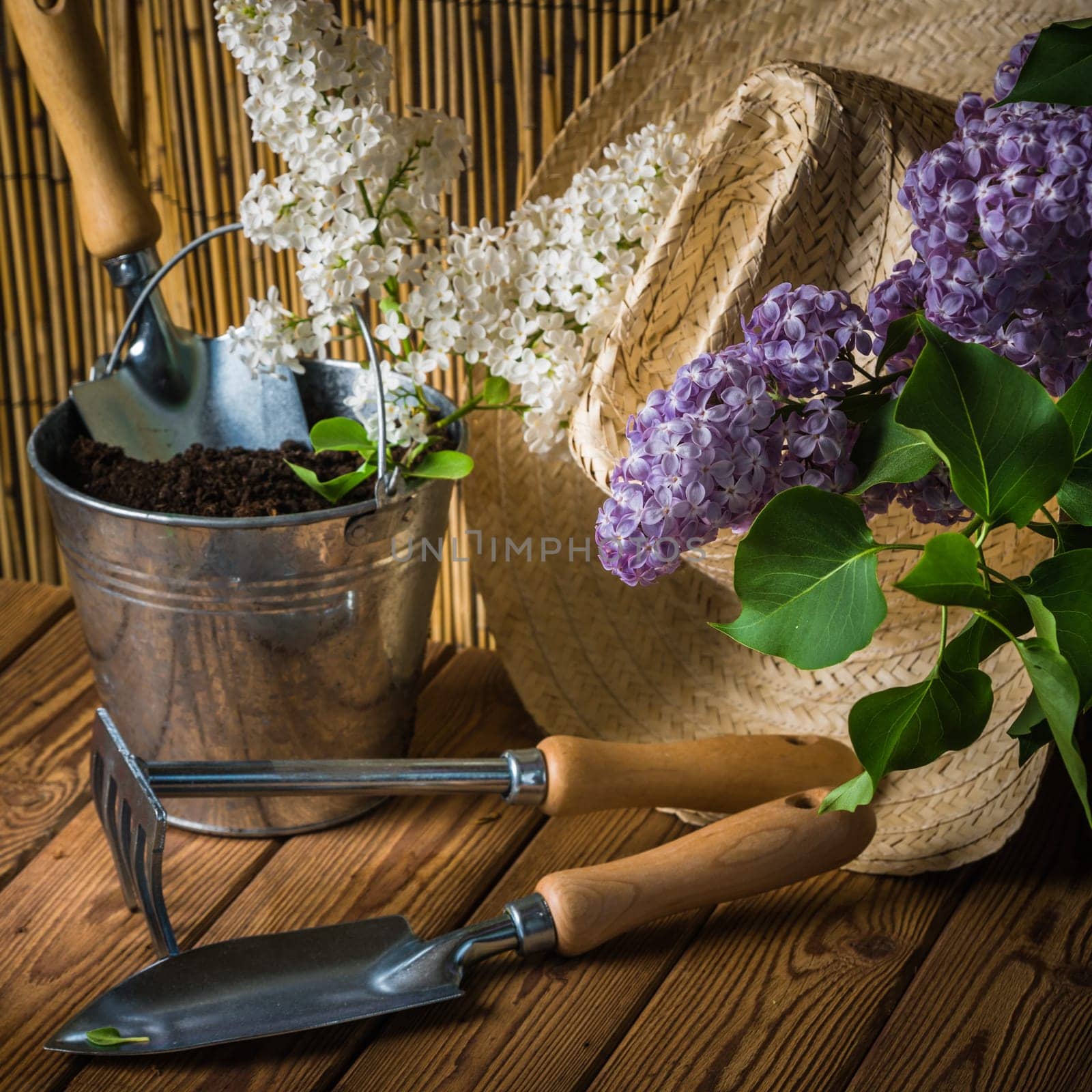 Gardening tools and a branch of a blossoming white lilac on a wooden surface