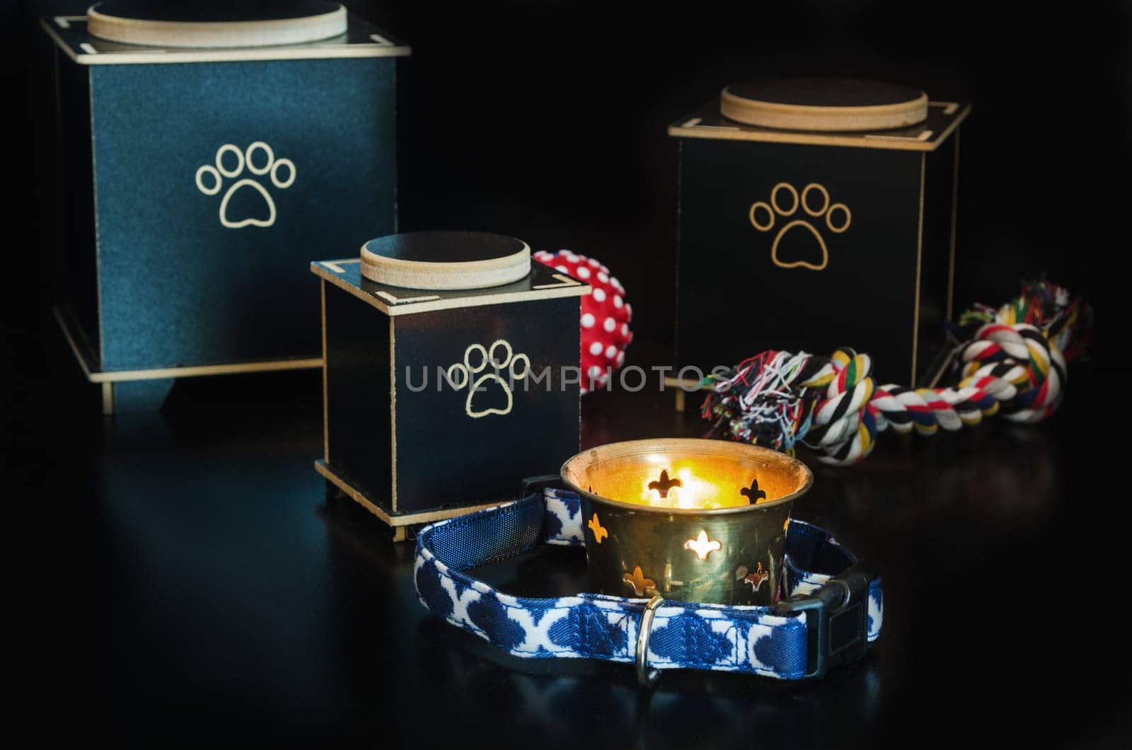 Cremation urn for pets. black background