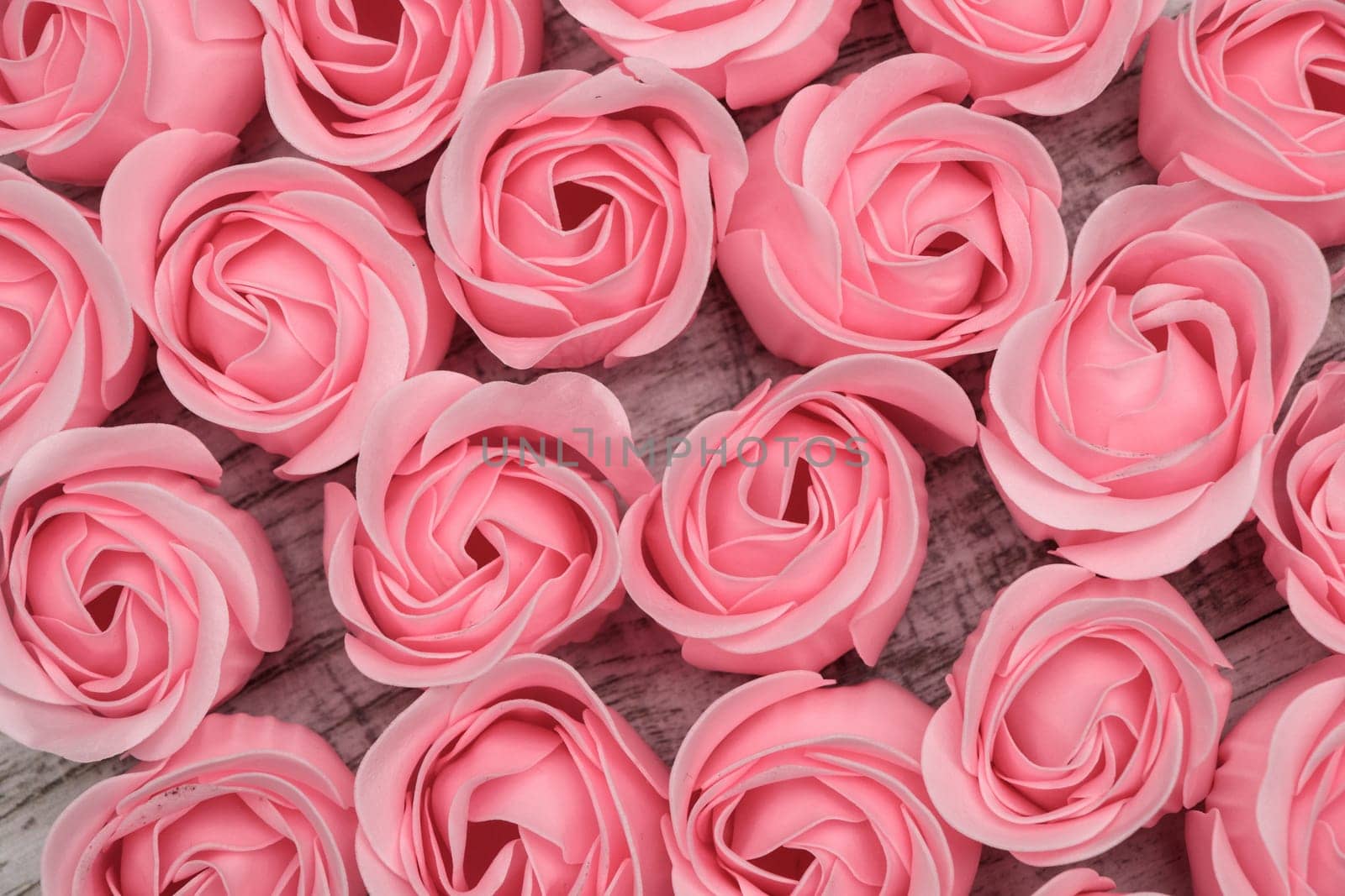 Pink roses on the wooden background