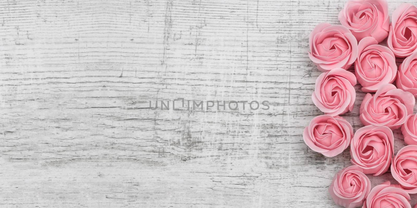 Pink roses on the wooden background