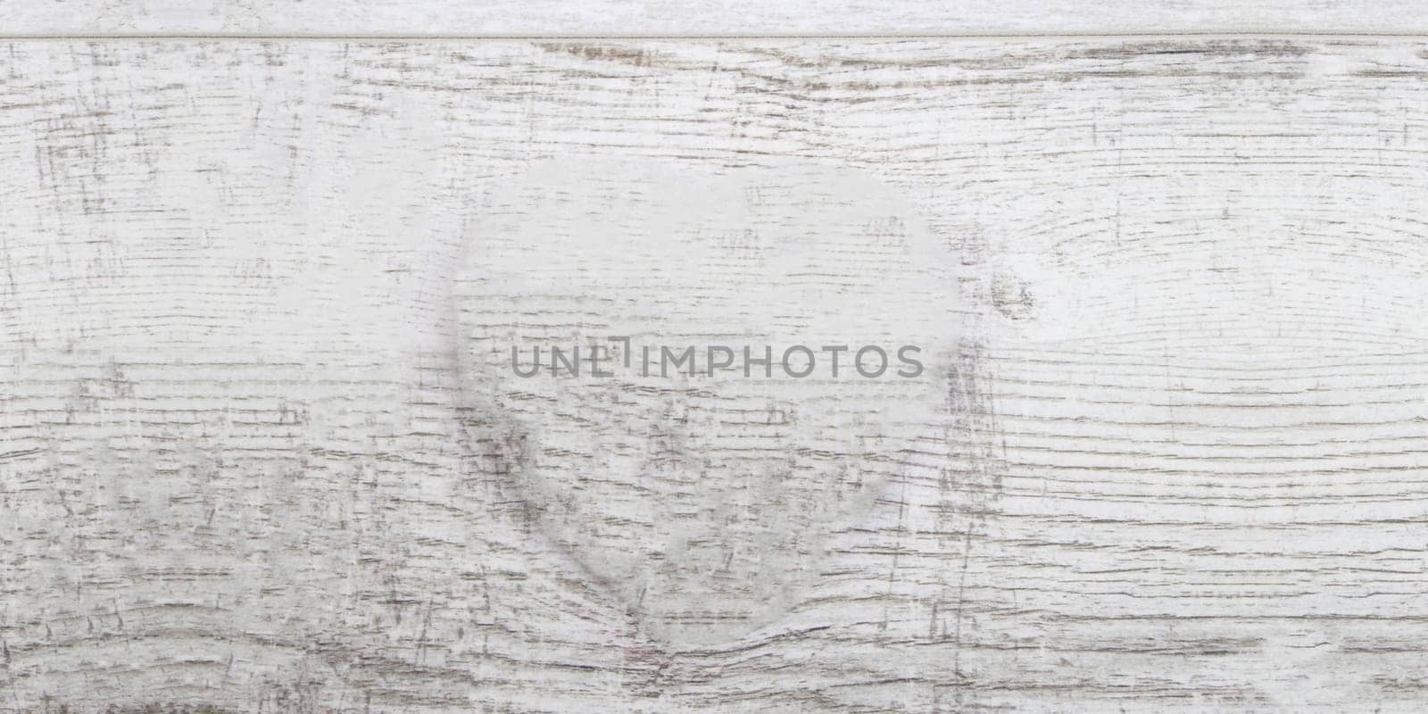White, grey wooden wall texture, old painted pine planks