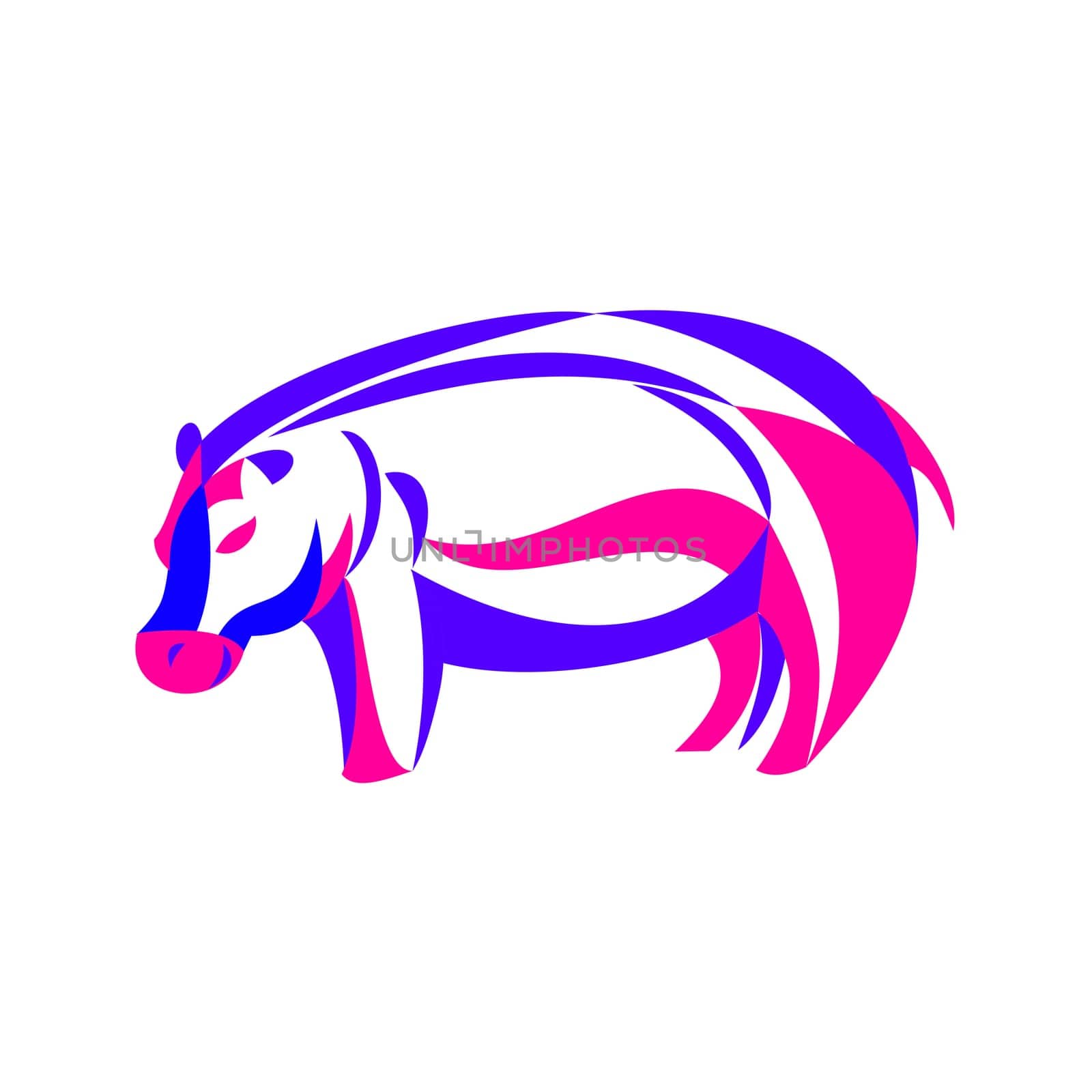 Curly Ribbon style illustration of a  hippopotamus or hippo, a large herbivorous, semiaquatic mammal native to sub-Saharan Africa  done in twisted free flowing line art on isolated background.