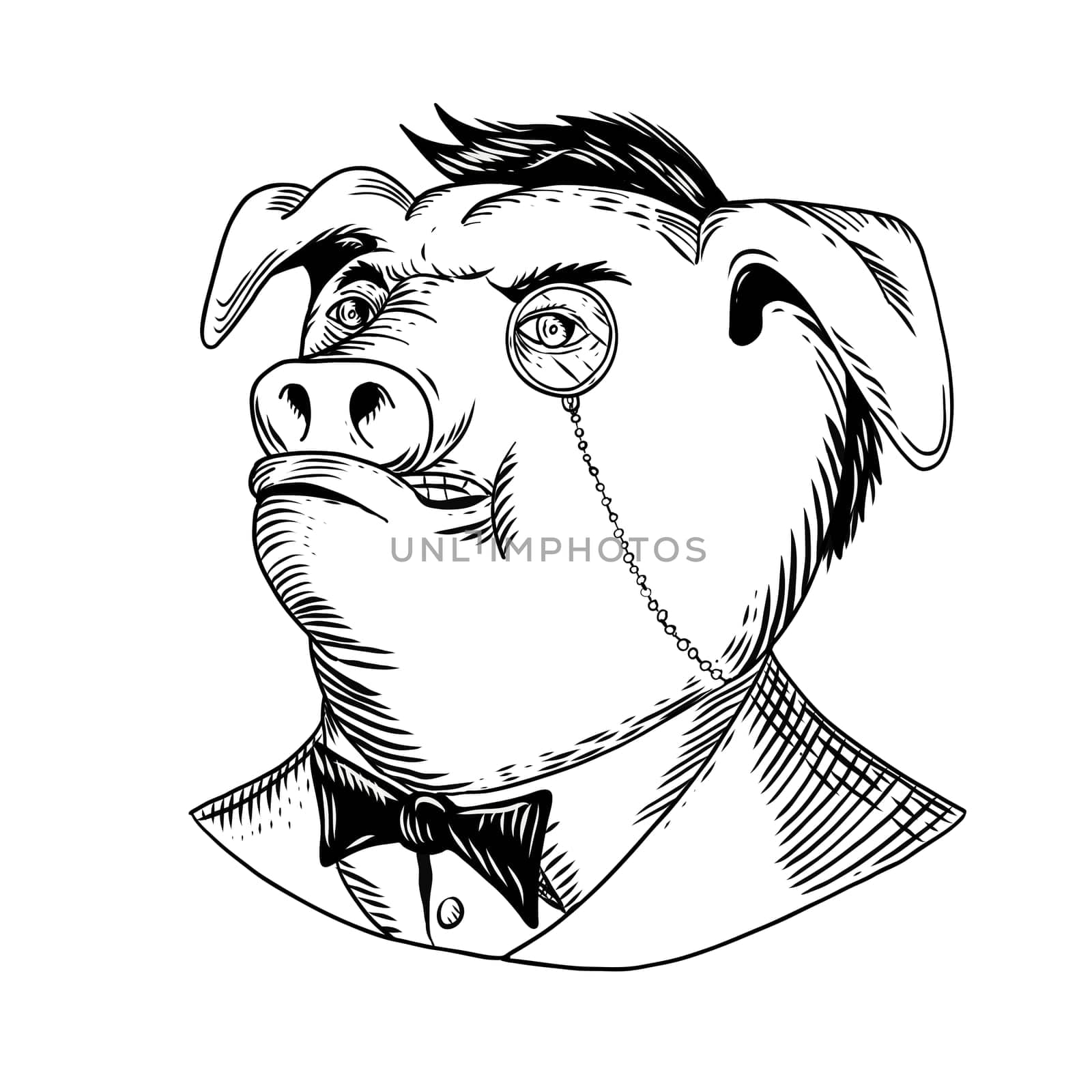 Drawing sketch style illustration of a noble aristocratic pig wearing a monocle and business suit with tie or tuxedo looking up on isolated white background in black and white.