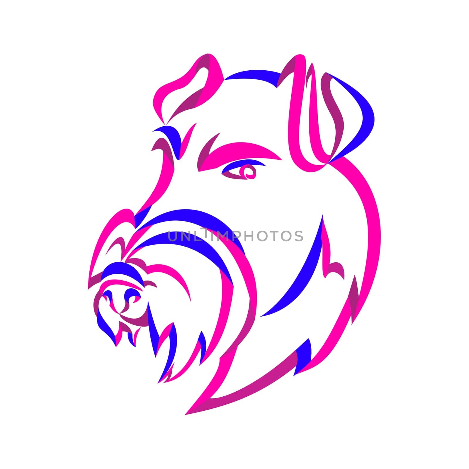 Curly Ribbon style illustration of head of an angry and aggressive Manchester Terrier, a breed of dog of the smooth-haired terrier type  done in twisted free flowing line art on isolated background.