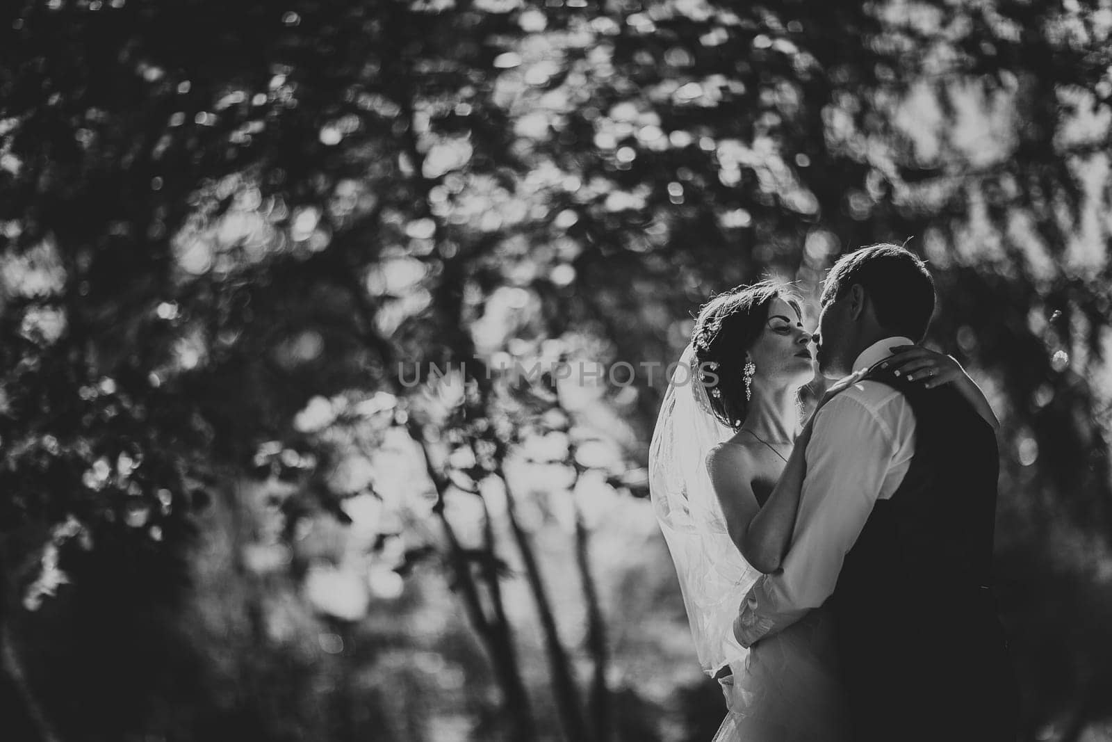 The bride and groom in the background of the park
