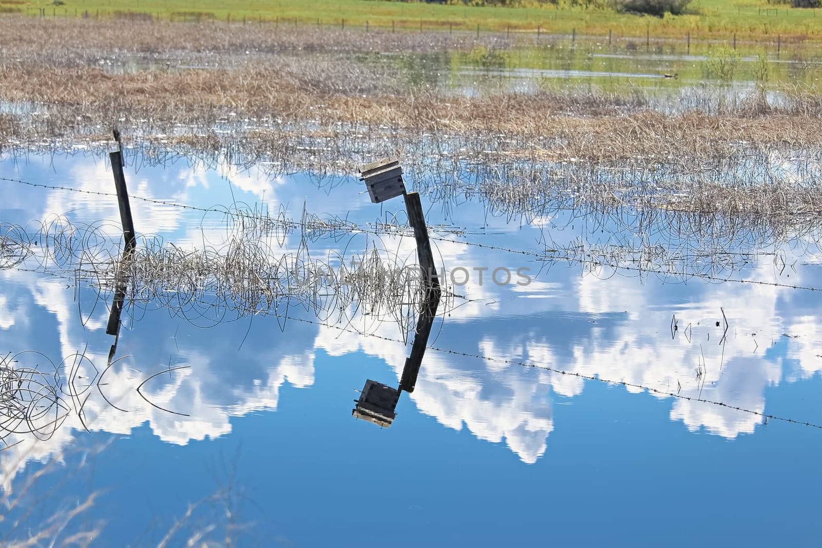 The reflection of the sky and a birdhouse on a fence.