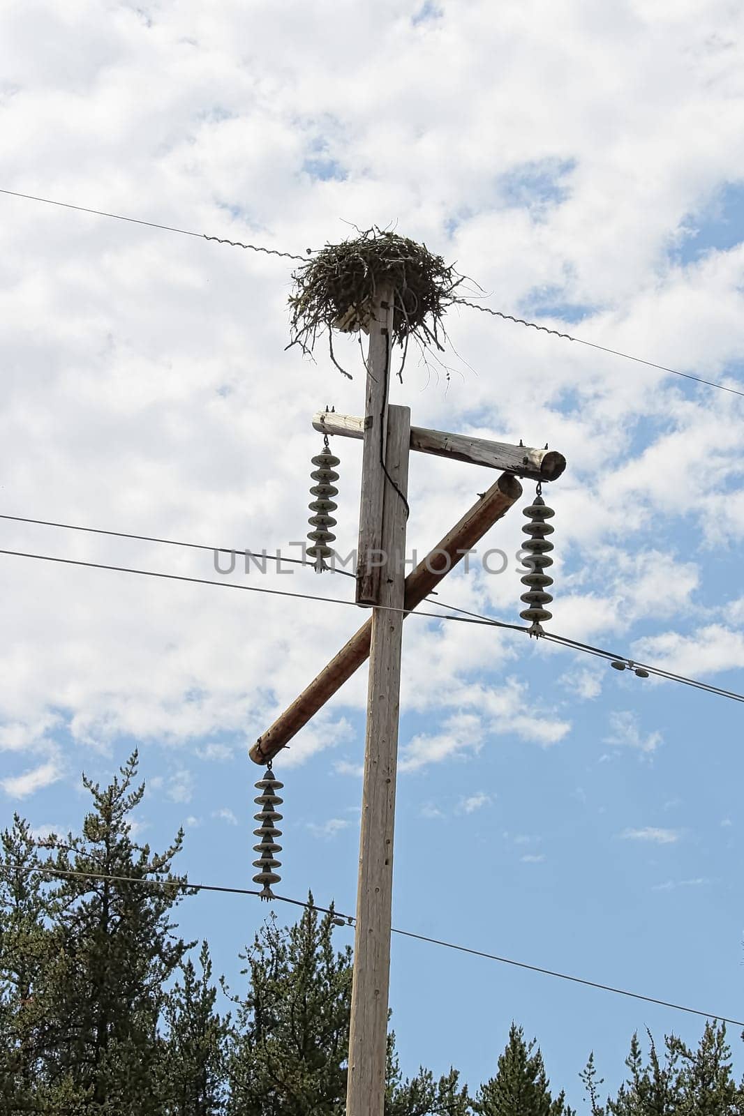 A large birdnest on a power pole.