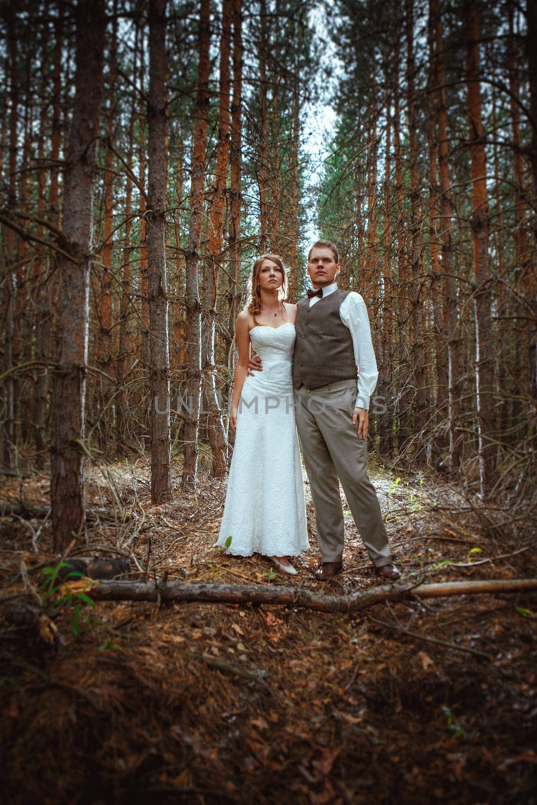 bride and groom in the forest of firs.
